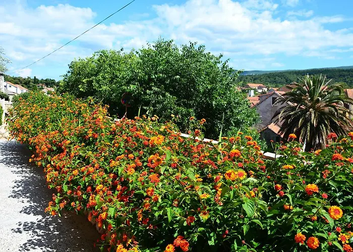 Апартаменты Ena *